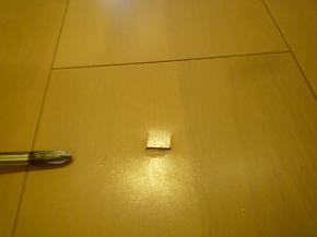 �w�R�~����������C�ł��邩�S�z�ł����B