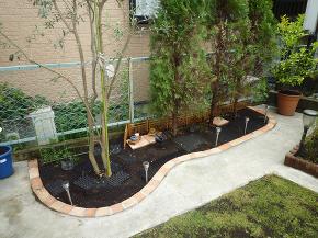 �a�Ɨm�̃R���{