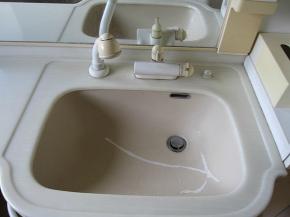 �y�{�H�O�z���ʃ{�E���Ƀq�r�������Ă��܂���C���Ă���܂��B