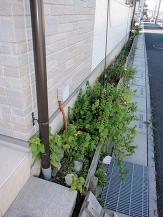 �y�{�H��z�u���b�N���Ȃ��̓y���߂œy�����ɗ���Ă��܂����B