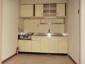 �y�{�H�O�@�L�b�`���z�Â����ތ^�L�b�`���ŁA�K�X��̌��ԂɃS�~�������Ď���ꂪ��ςł����B