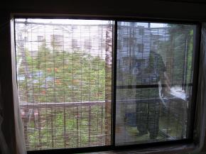 �y�{�H��z�t�B������\��܂����B�E���\���Ă���l�q�ł��B�{�H�O�̎ʐ^�Ɣ�r���Ă݂ĉ������B