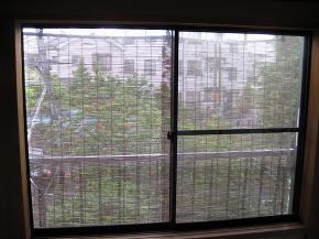 �y�{�H�O�z�{�H�O�̗l�q�ł��B���������ړ�����̂ł�������g�p���Ă���܂����A�����h�����ꂸ�A�Ƌ�⏰�̓��Ă������Ă��܂��Ă���܂����B