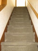 �y�{�H�O�z�J�[�y�b�g�̊K�i�ł����B�V�������i�݁A�J�[�y�b�g�������X���Ă��Ă��܂��Ă���A�����ڂ��ǂ��Ȃ����A�s�q���I�ł����B