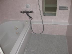 �y�{�H��z�J�E���^�[�t���̃��j�b�g�o�X�ŁA�J���[�����炩���C���[�W�̃s���N�F�B