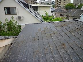 【施工後】傷んだ屋根を取替えました。これで雨漏りも安心です。
